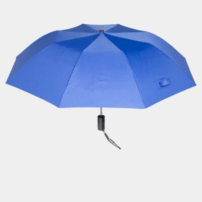Auto-Open Folding Umbrella Thumbnail